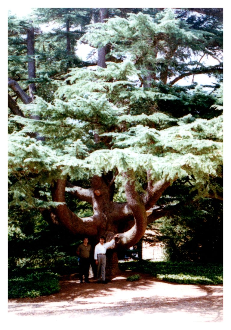 img20250823_09273441