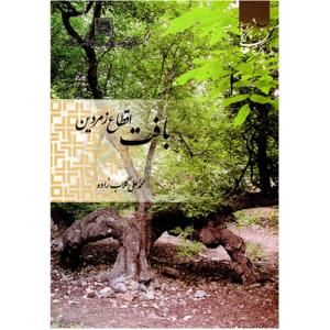 بافت اقطاع زمردین